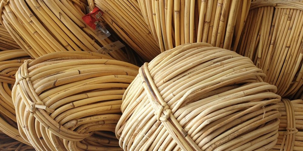 rotan jawit unggulan indonesia