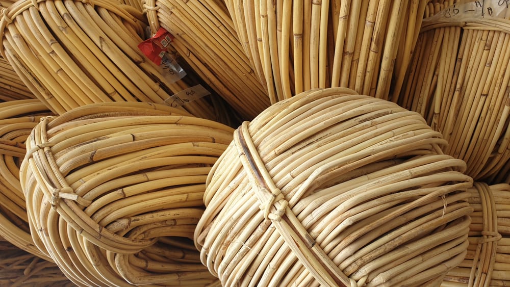 rotan jawit unggulan indonesia